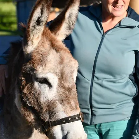 Champetre Avec Animaux, Et Confort En Pleine Nature Bourbonnaise - Fr-1-489-539 Holiday home Buxieres-les-Mines