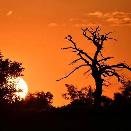 Champetre Avec En Bourbonnais - Fr-1-489-539 Nyaraló *