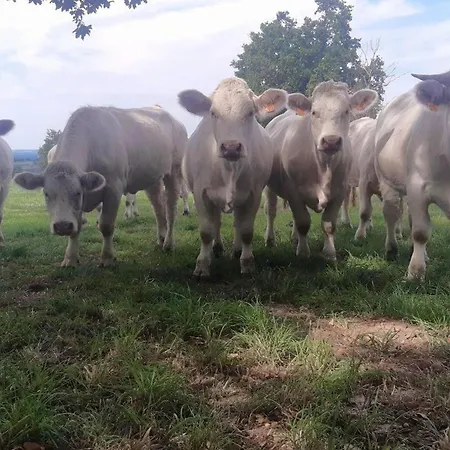 Champetre Avec En Bourbonnais - Fr-1-489-539 *